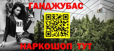 крисы Гай