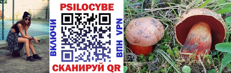 Псилоцибиновые грибы Psilocybine cubensis  kraken   Брянск 