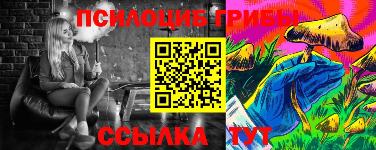 купить наркотик  Псилоцибиновые грибы Magic Shrooms  Вход с VPN  Брянск 
