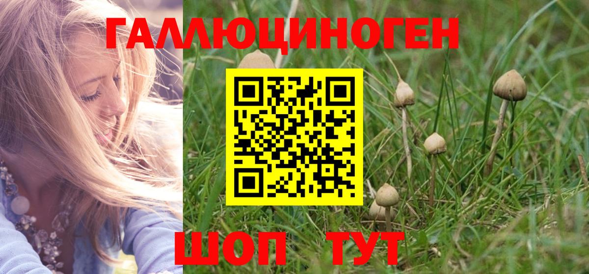 Псилоцибиновые грибы GOLDEN TEACHER Брянск