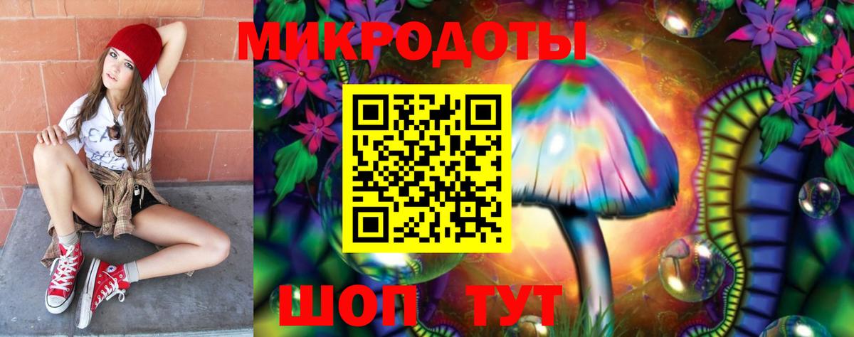 Псилоцибиновые грибы Psilocybe  Брянск 