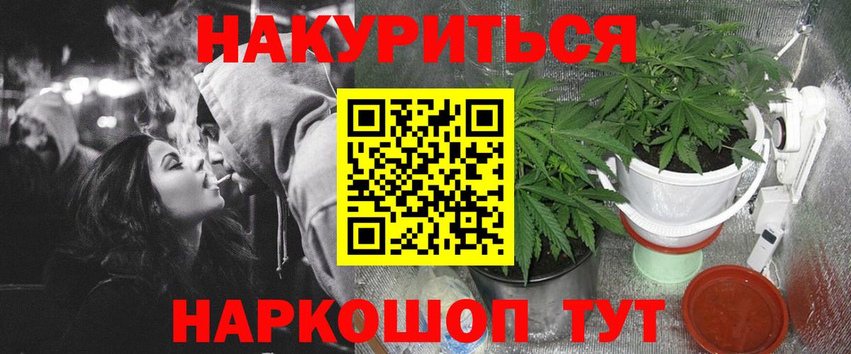 Каннабис план Брянск